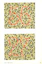 Vorschau Pseudo-isochromatische Tafeln zur Prüfung des Farbsinnes, Tafel II2