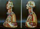 Vorschau Anatomisches Wachsmodell, Kopf, Hals, Brustraum