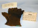 Vorschau Handschuh aus Byssusfäden der Edlen Steckmuschel