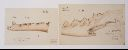 Vorschau Skizzen von zwei Bruchstücken eines Zeuglodon-Unterkiefers
