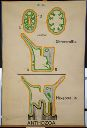 Vorschau Wandtafel, Bauschema Anthozoa