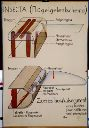 Vorschau Wandtafel, Insekten Flügelgelenkschema