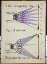 Vorschau Wandtafel, Strahlengang im Appositions- und Suprapositionsauge