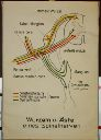 Vorschau Wandtafel, Wurzeln u. Äste eines Spinalnerven