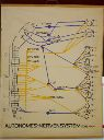 Vorschau Wandtafel, Autonomes Nervensystem