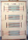 Vorschau Wandtafel, Aktin-Myosin-Filamente