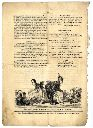 Vorschau Nr_1015 Nr 36 Seite 144