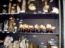 Vorschau Zoologische Lehrsammlung