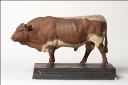 Vorschau Pinzgauer Stier
